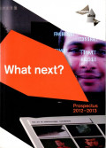 What next? : prospectus 2012-2013